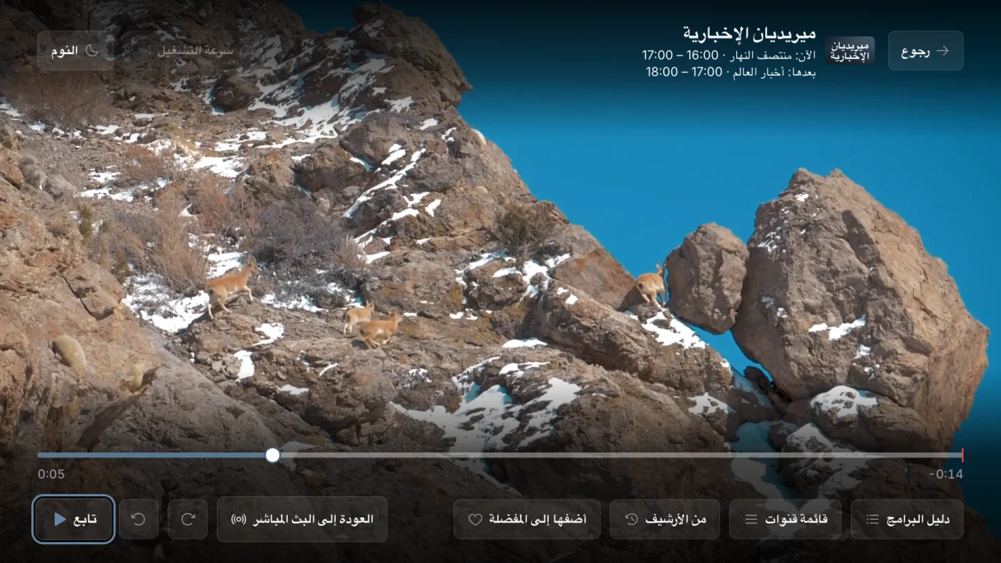 الرجوع في البث المباشر