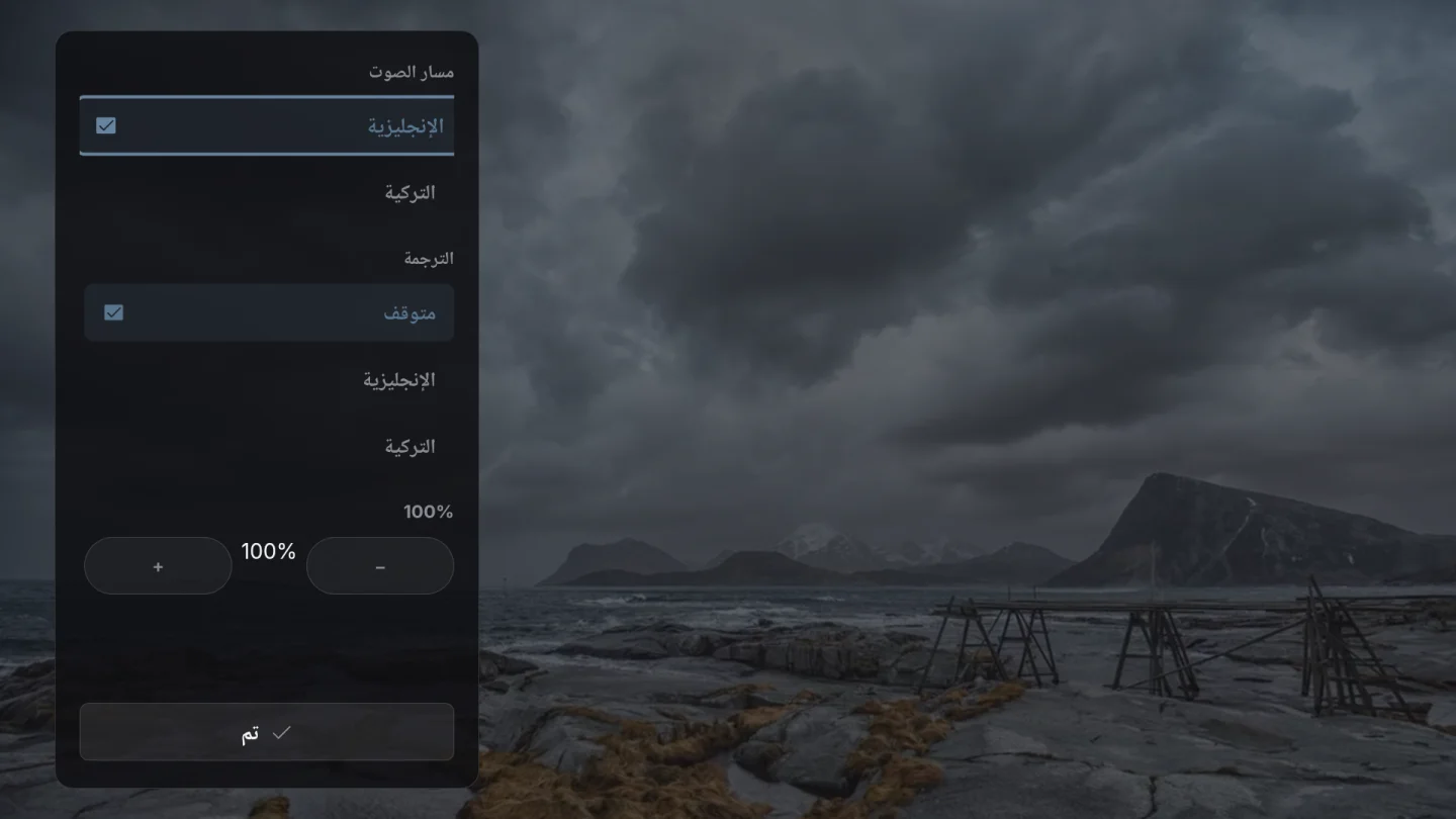 الصوت والترجمة
