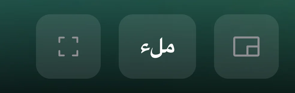 صورة داخل صورة