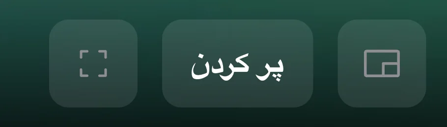تصویر در تصویر