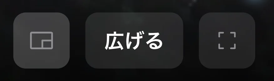 ピクチャーインピクチャー
