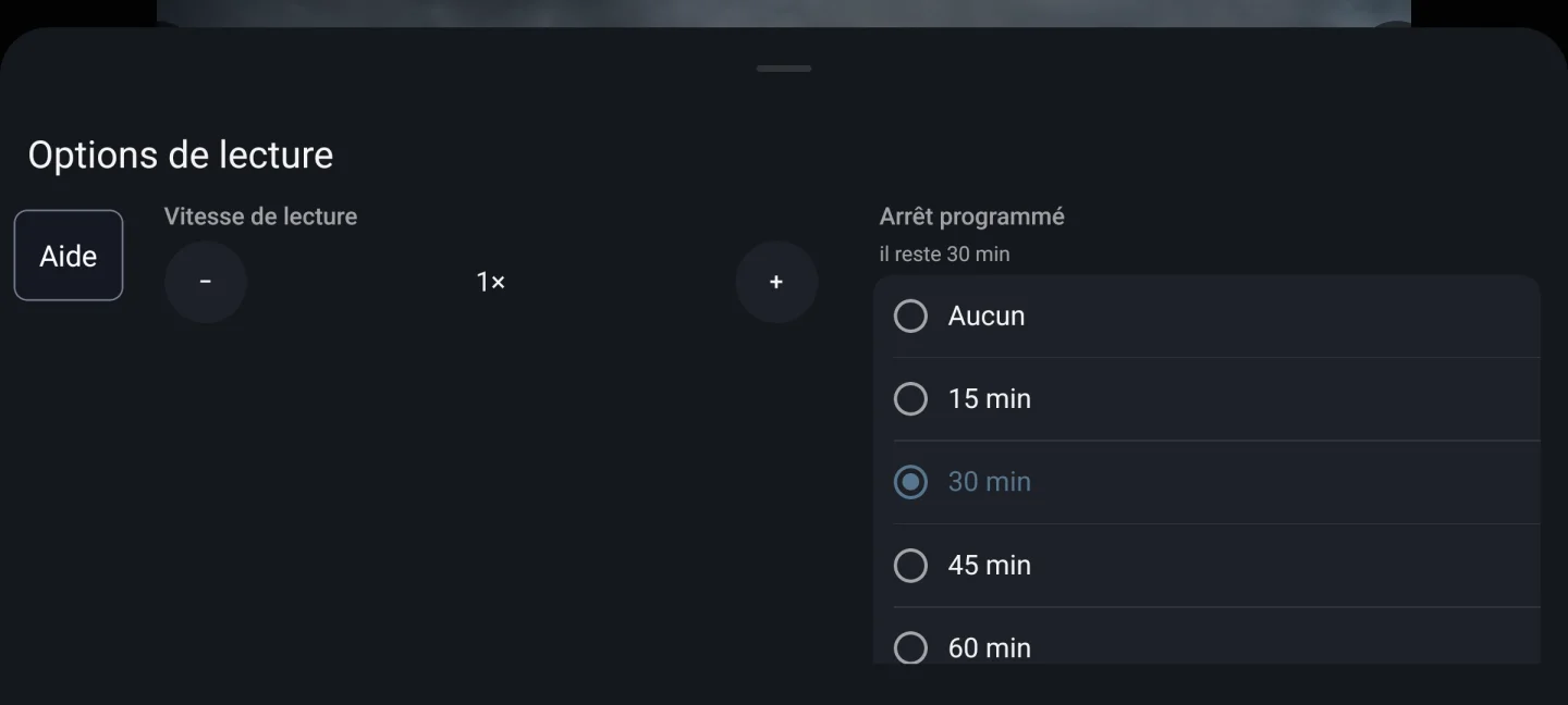 Minuterie de veille