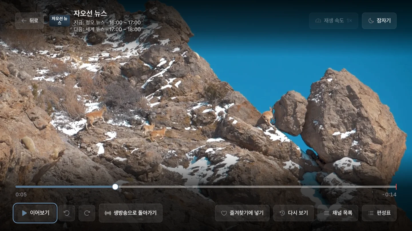 실시간 되감기