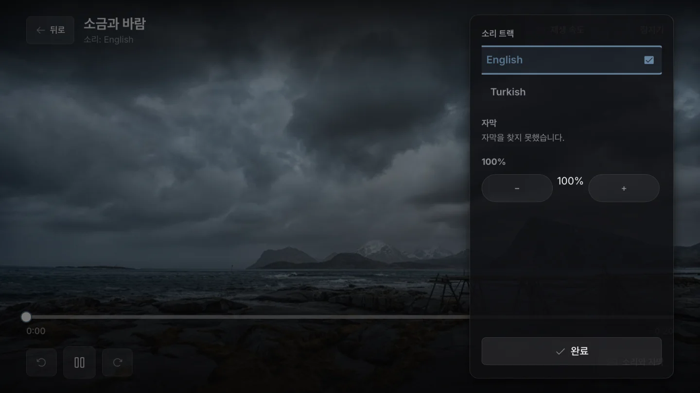 오디오 및 자막