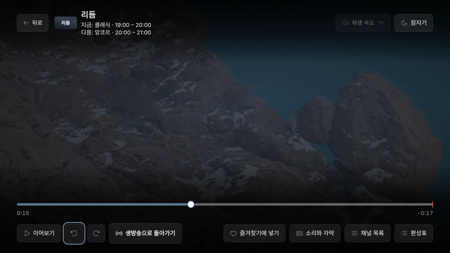 실시간 되감기
