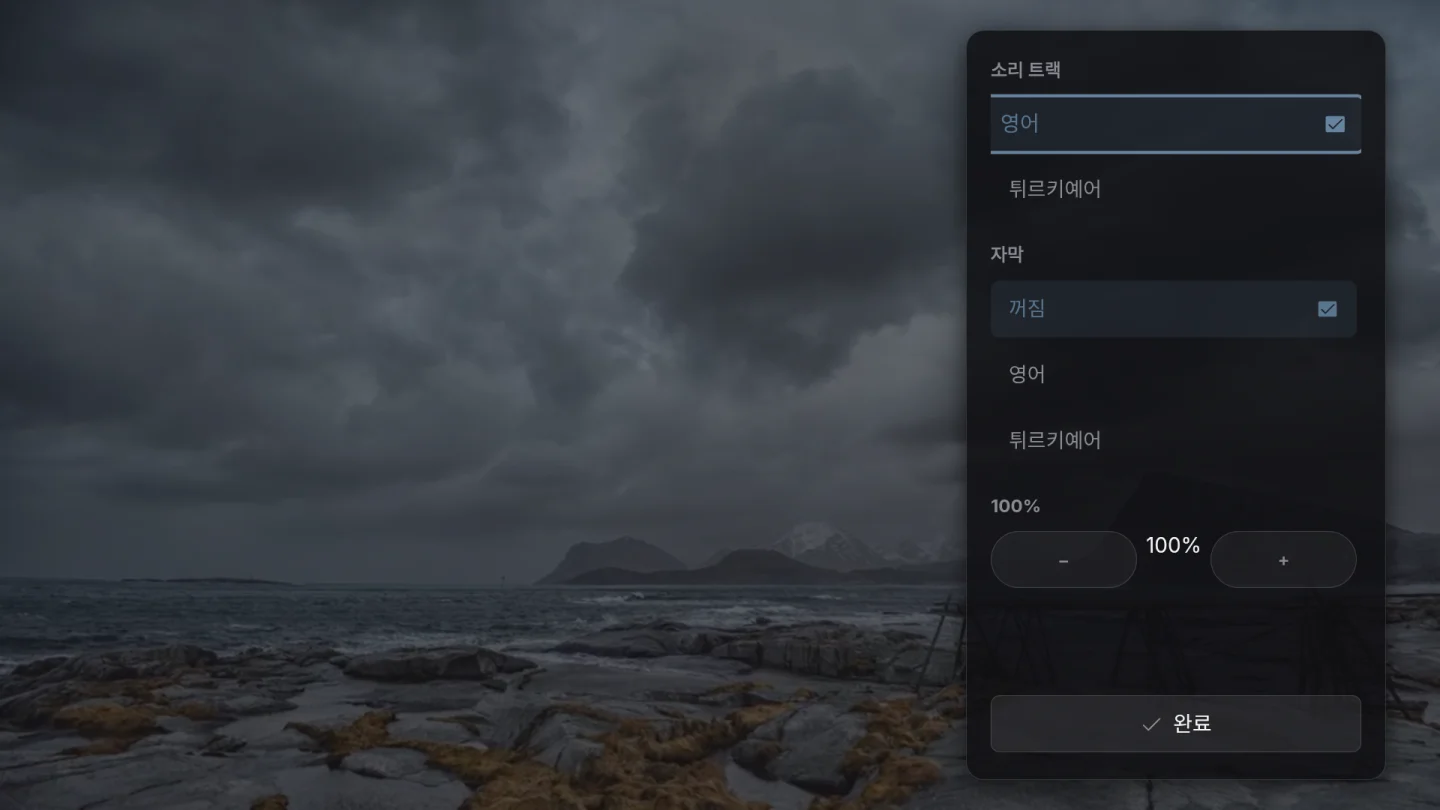 오디오 및 자막