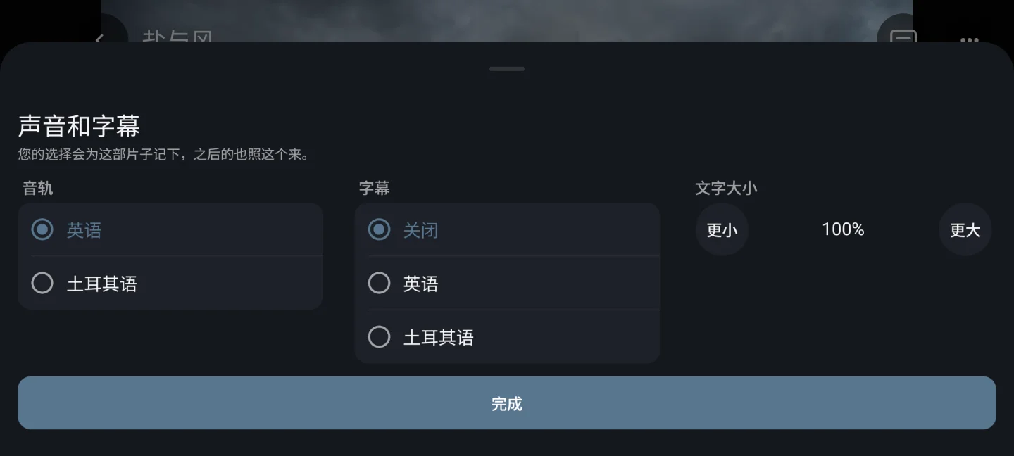音频和字幕